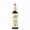 Cerasifera Cherry Plum 20ml