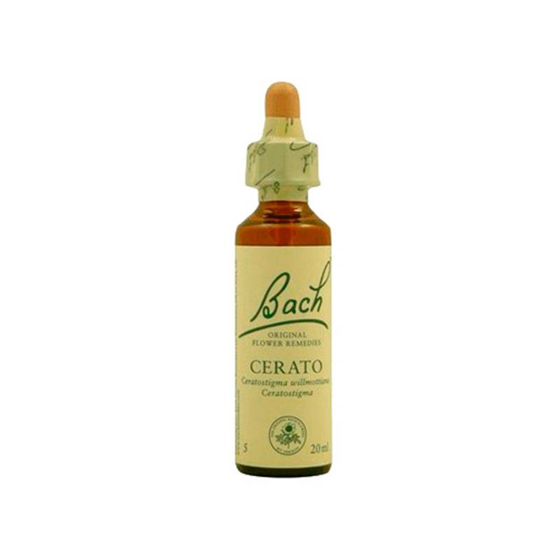 Cerato 20ml