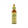 Cerato 20ml