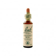 Chestnutbud Brote Castaño 20ml