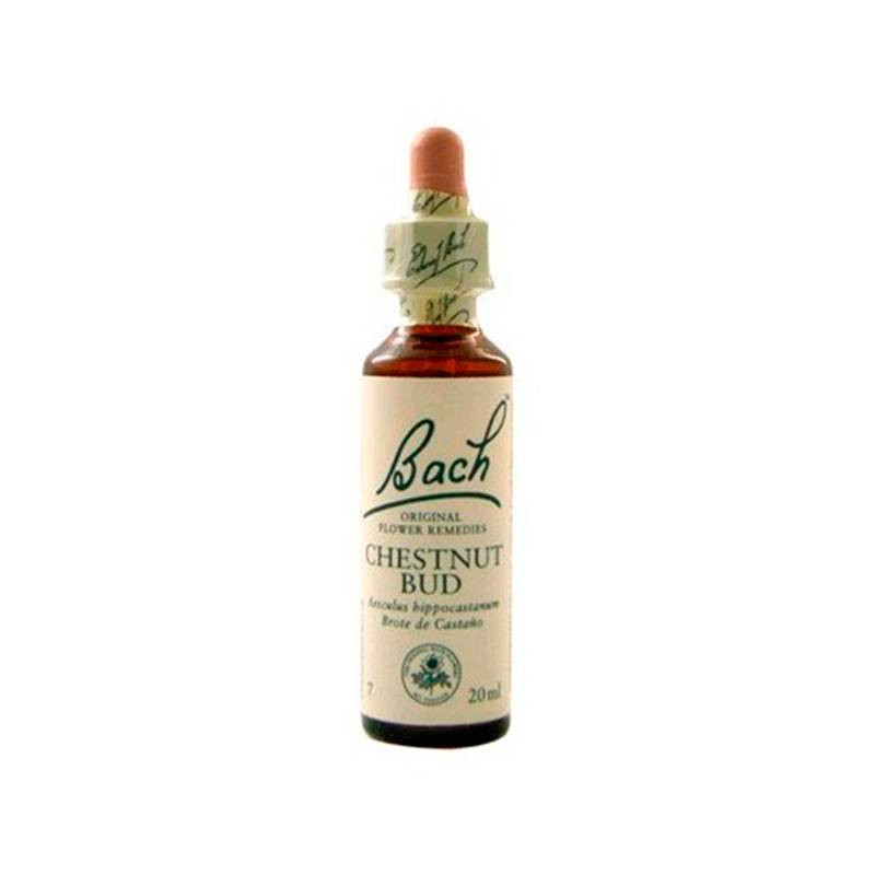 Chestnutbud Brote Castaño 20ml
