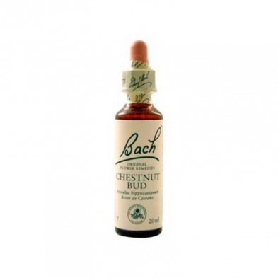 Chestnutbud Brote Castaño 20ml Chestnutbud Brote Castaño 20ml