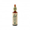Chestnutbud Brote Castaño 20ml