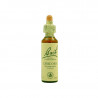 Chicory Achicoria 20ml