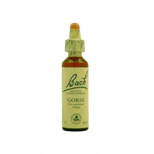 Gorse Aulaga 20ml