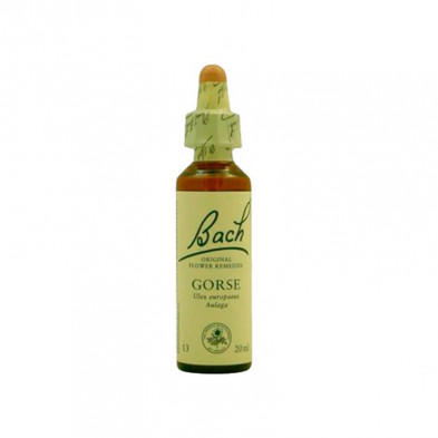 Gorse Aulaga 20ml Gorse Aulaga 20ml