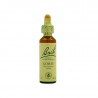 Gorse Aulaga 20ml