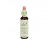 Honeysuckle Madreselva 20ml