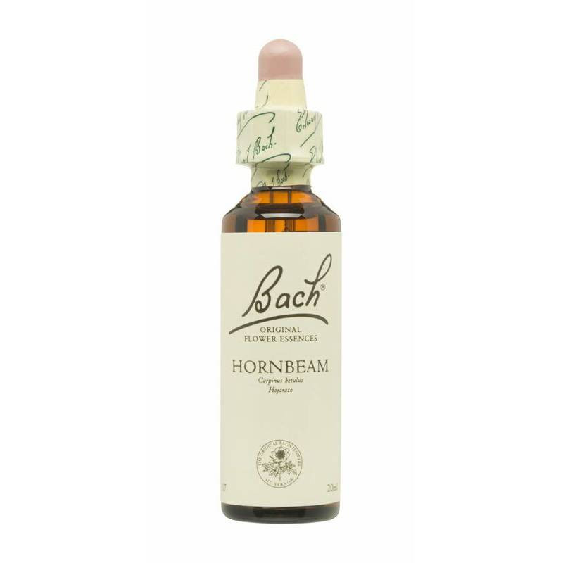 Hornbeam Hojarazo 20ml