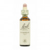 Hornbeam Hojarazo 20ml