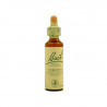 Impatiens Impaciencia 20ml