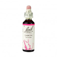 Larch Alerce 20ml