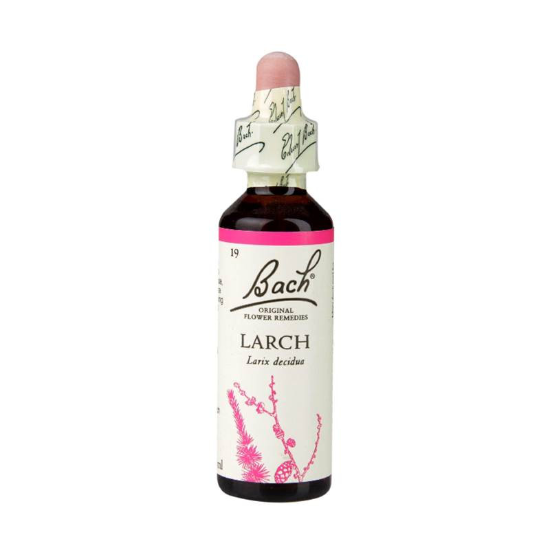 Larch Alerce 20ml