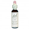 Oak Roble 20ml