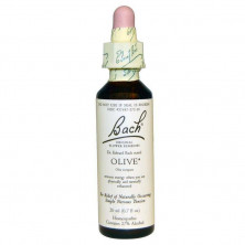 Olive Olivo 20ml