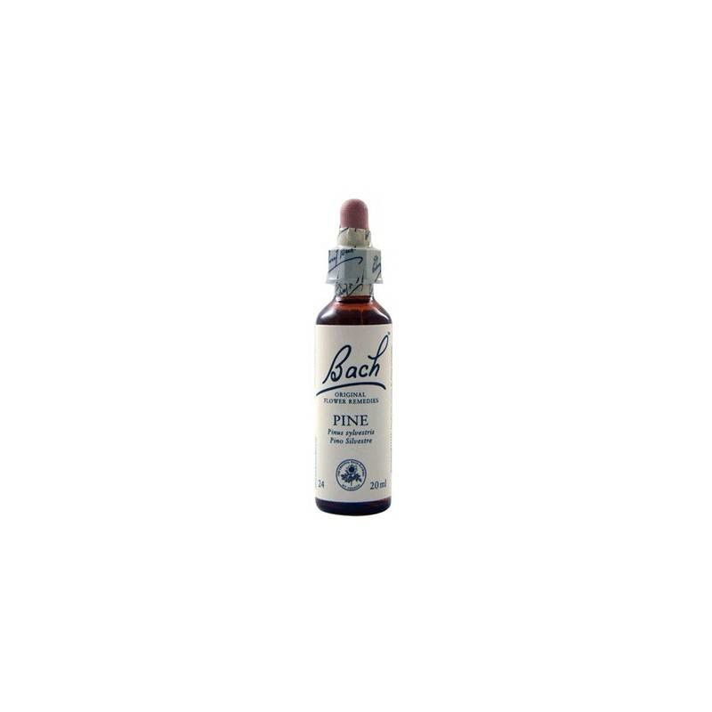 Pine Pino 20ml