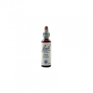 Pine Pino 20ml Pine Pino 20ml