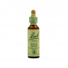 Rock Rose Heliantemo 20ml
