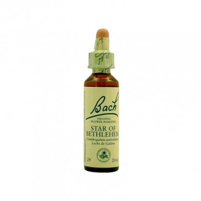 Star Of Bethlehem Leche Gallina 20ml Star Of Bethlehem Leche Gallina 20ml