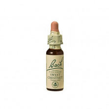 Sweet Chestnut Castaño Dulce 20ml
