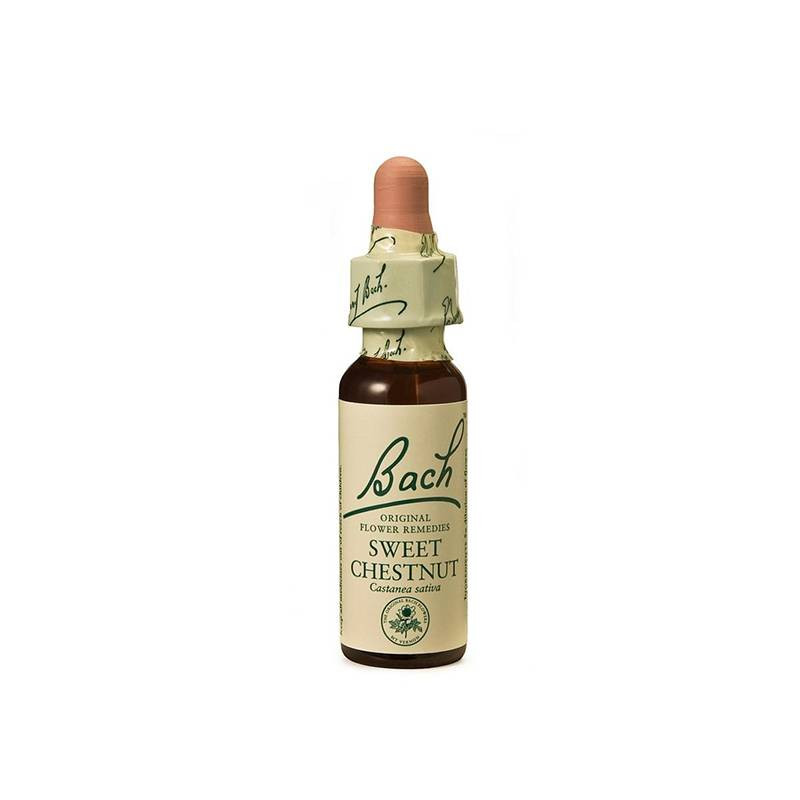 Sweet Chestnut Castaño Dulce 20ml