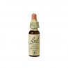 Sweet Chestnut Castaño Dulce 20ml