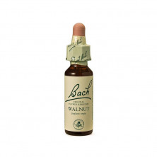 Walnut Nogal 20ml