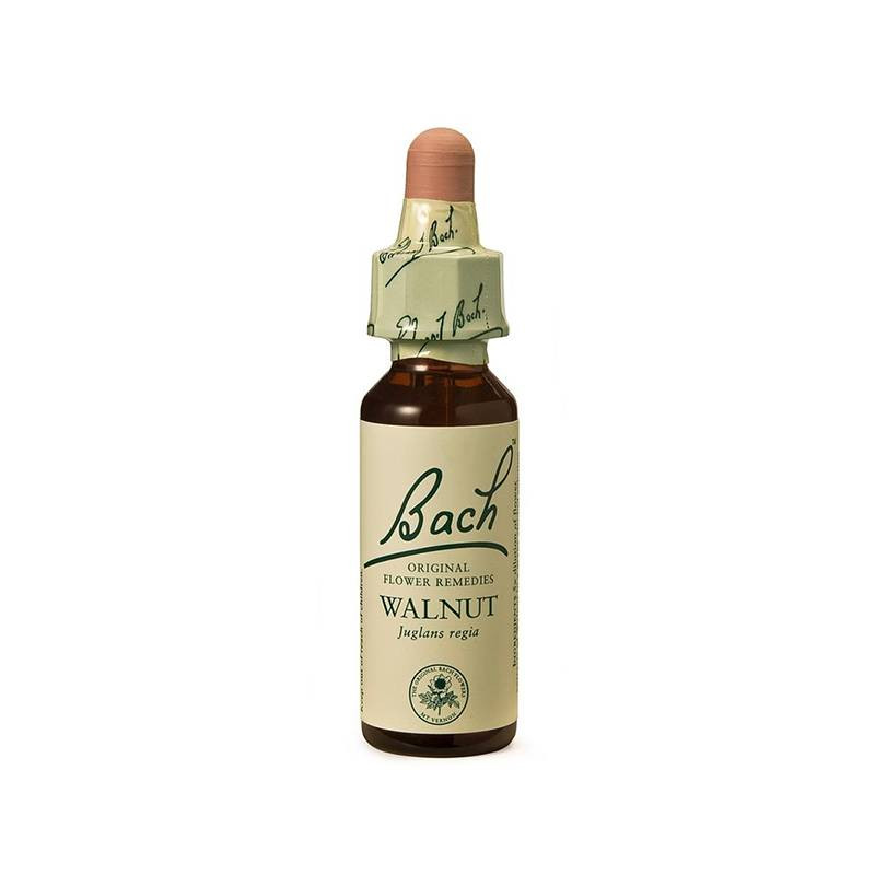 Walnut Nogal 20ml