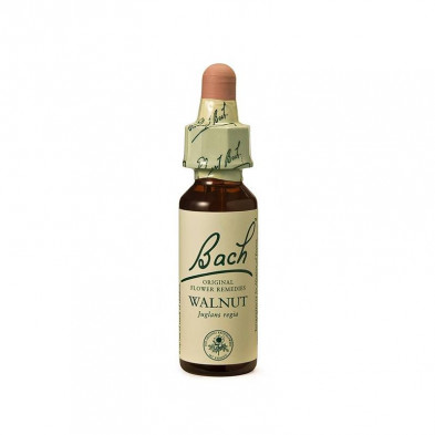 Walnut Nogal 20ml Walnut Nogal 20ml