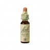 Walnut Nogal 20ml