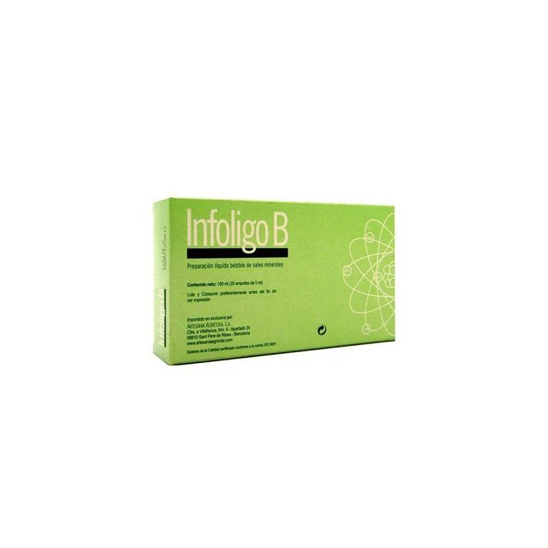 Infoligo B 20amp