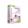 Echinaid Urto Alta Potencia 30cap
