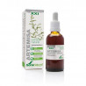 Artemisa Extracto Xxi Con Dosificador 50ml