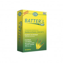 Batteril 30tab